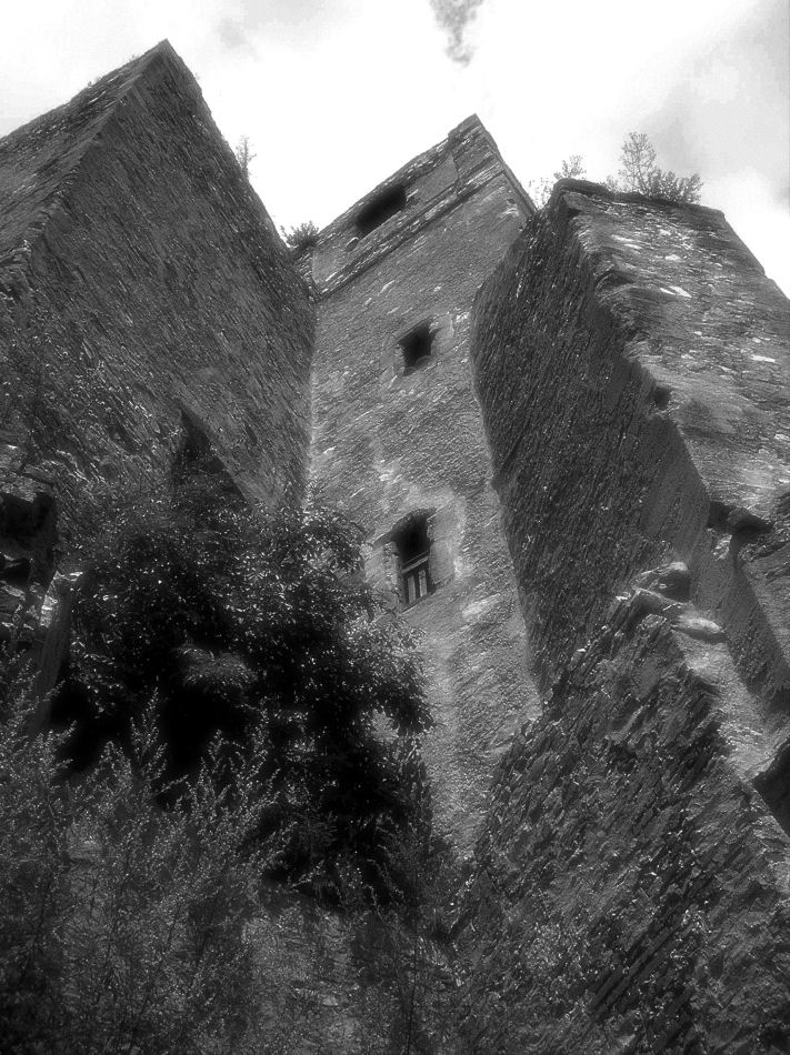 Burgruine Landsee 2006, Foto: (C) Herbert Swaton