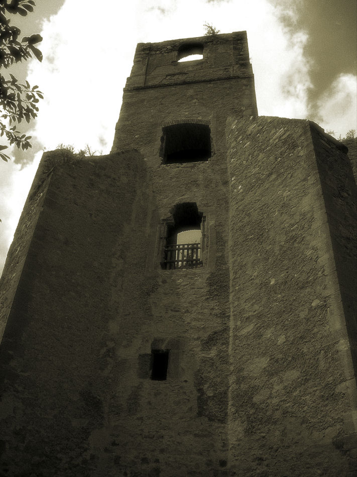 Burgruine Landsee 2006, Foto: (C) Herbert Swaton