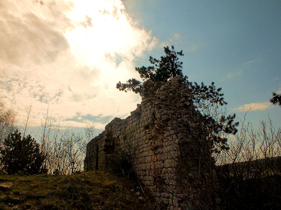 Burgruine Starhemberg, N, 2012, Foto: (C) Herbert Swaton