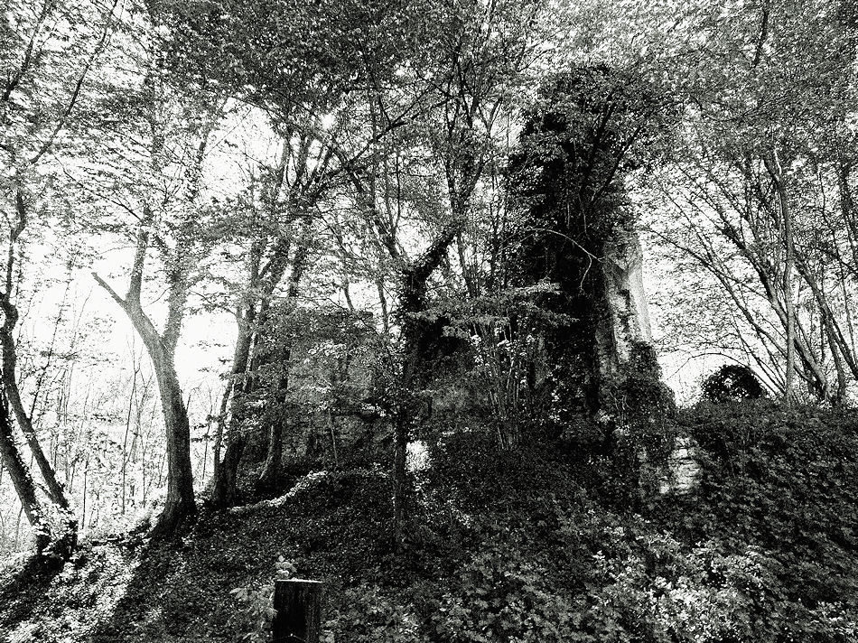 Ruine Unterthurm, Niedersterreich, 2012, Foto: (C) Herbert Swaton