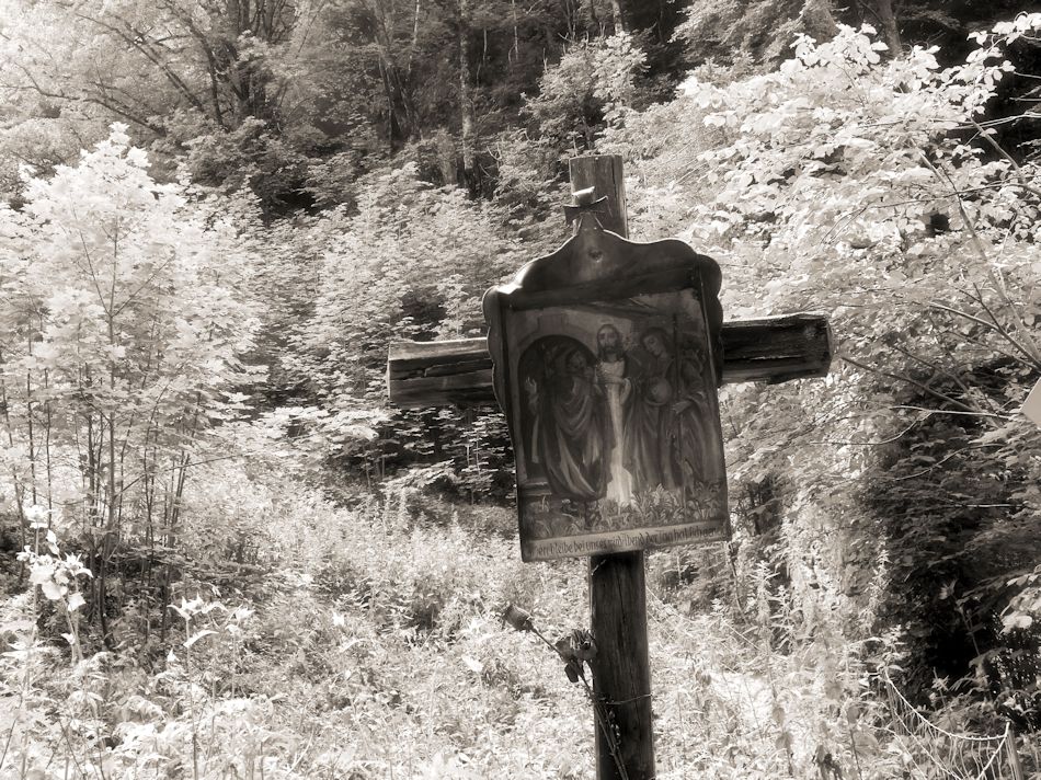 Aufstieg zur Burgruine Scharnstein, 2014, Foto: (C) Herbert Swaton