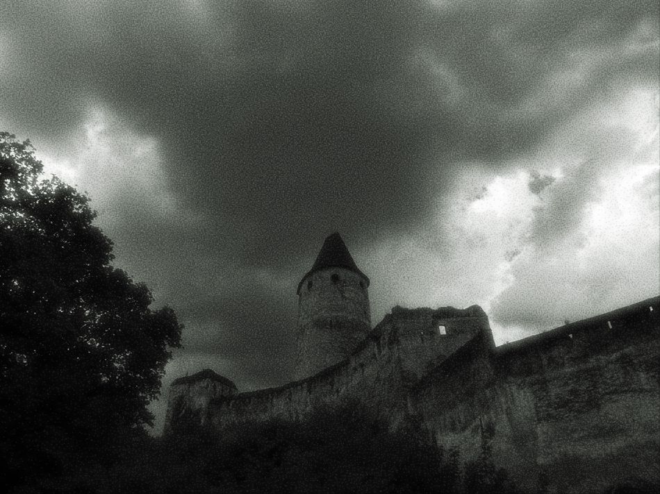 Burg Seebenstein, 2016, Foto: (C) Herbert Swaton