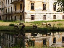 Wasserschloss Pottendorf : Fr eine vergrerte Darstellung anklicken!