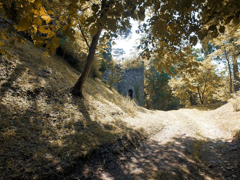 Burgruine Karlsbach, 2015, Foto: (C) Herbert Swaton