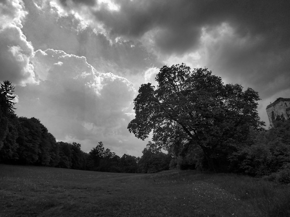 Burg Seebenstein, 2016, Foto: (C) Herbert Swaton