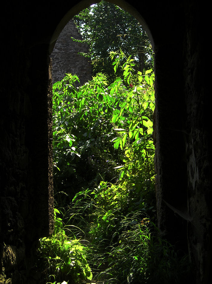 Burgruine Prandegg 2007, Foto: (C) Herbert Swaton