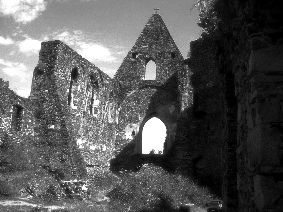 Burgruine Schaunberg 2006, Foto: (C) Herbert Swaton