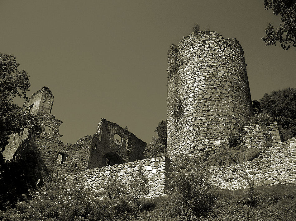 Burgruine Prandegg 2007, Foto: (C) Herbert Swaton