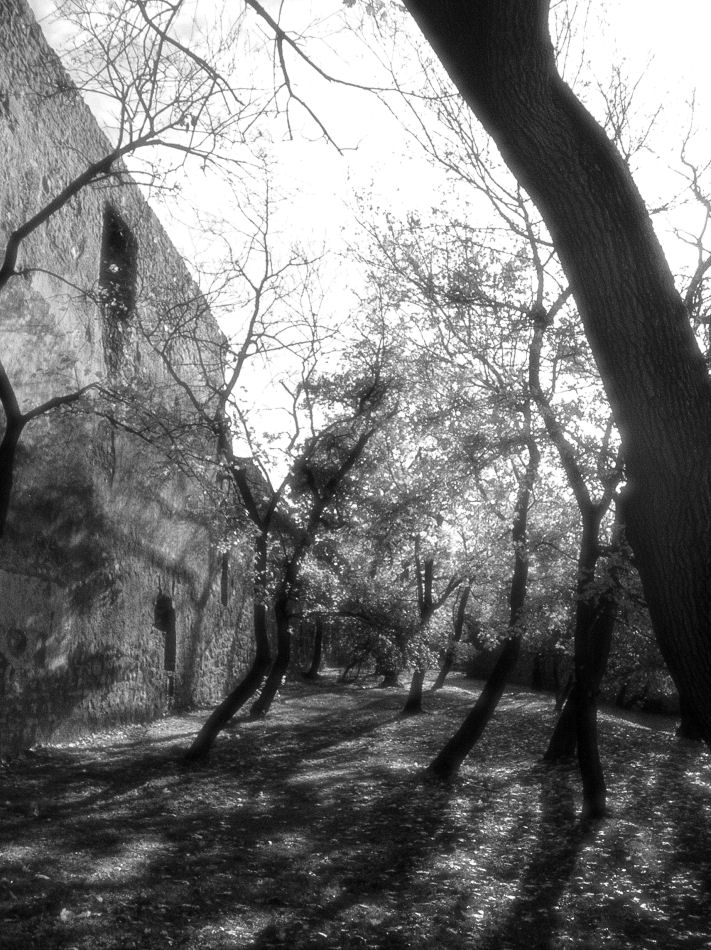 Festung Hainburg 2007, Foto: (C) Herbert Swaton