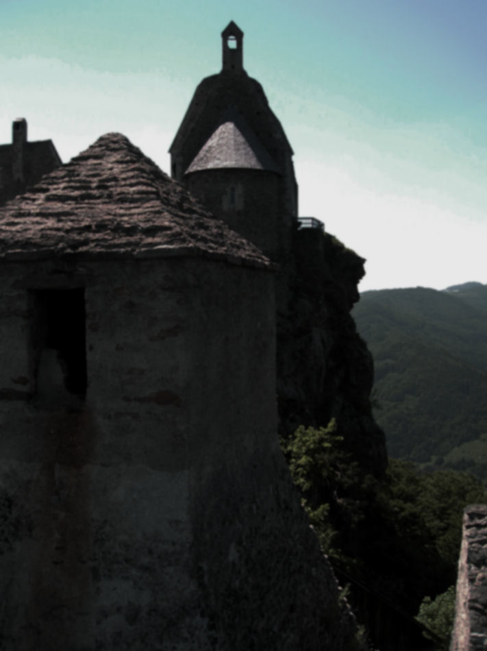 Burgruine Aggstein 2005, Foto: (C) Herbert Swaton