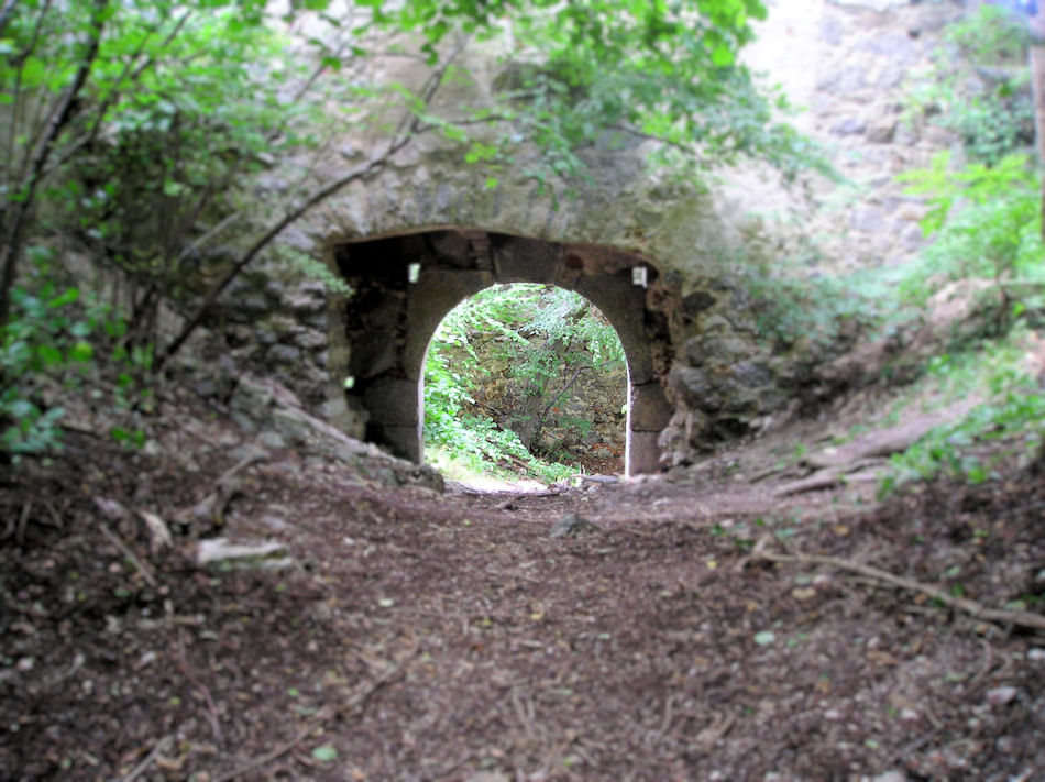 Burgruine Zelking  2006, Foto: (C) Herbert Swaton