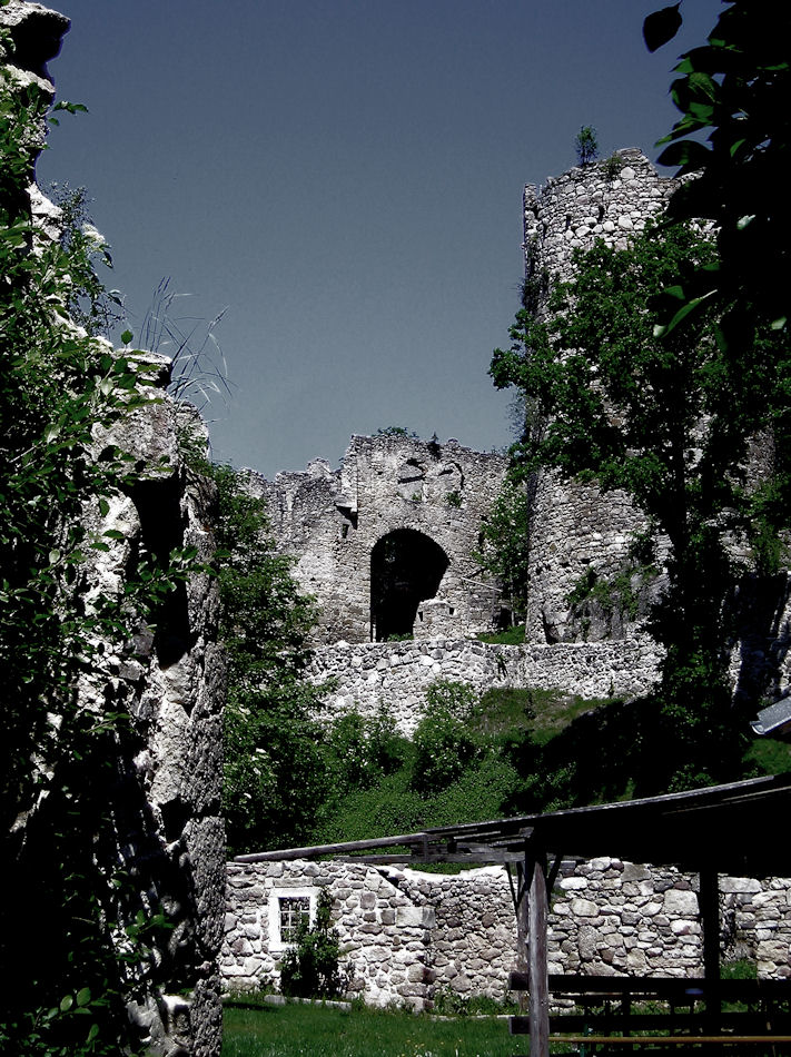 Burgruine Prandegg 2007, Foto: (C) Herbert Swaton