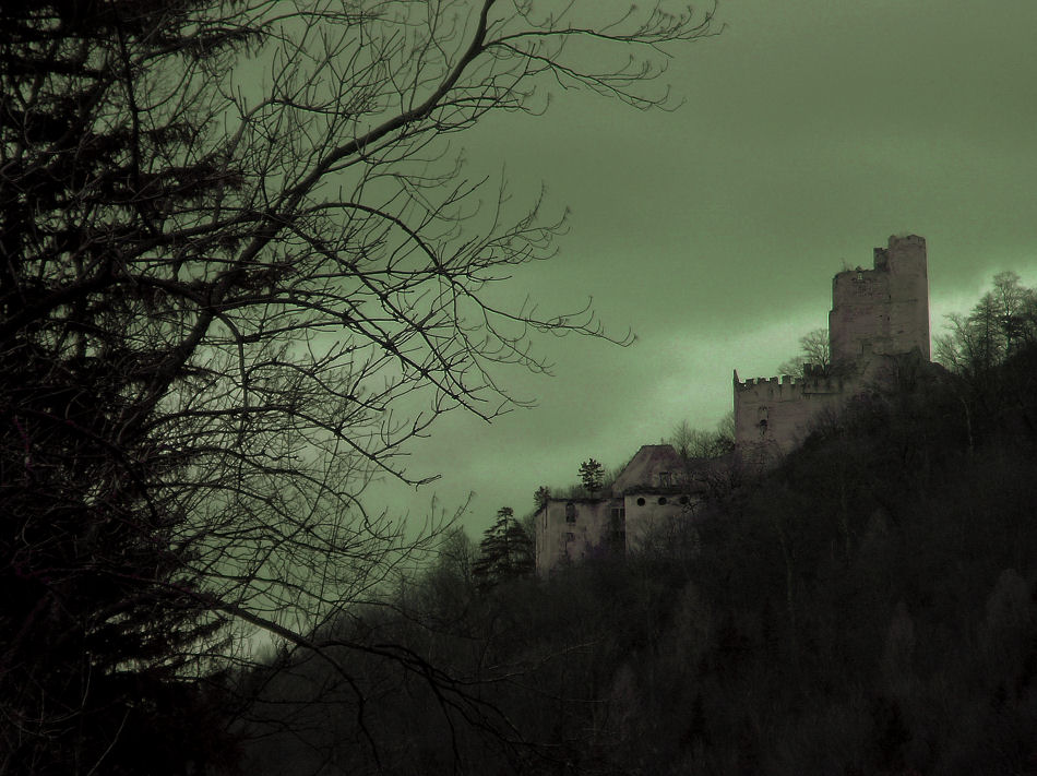 Burgruine Thernberg 2007, Foto: (C) Herbert Swaton