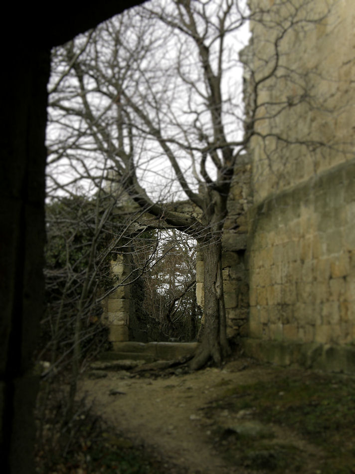 Burgruine Rauhenegg, Foto: (C) Herbert Swaton