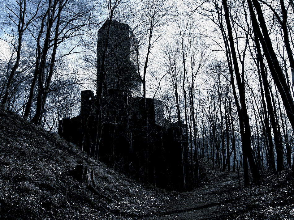 Burgruine Schauenstein 2008, Foto: (C) Herbert Swaton