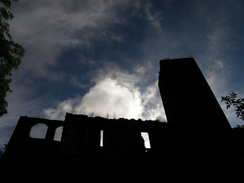 Burgruine Liebenfels 2008, Foto: (C) Herbert Swaton