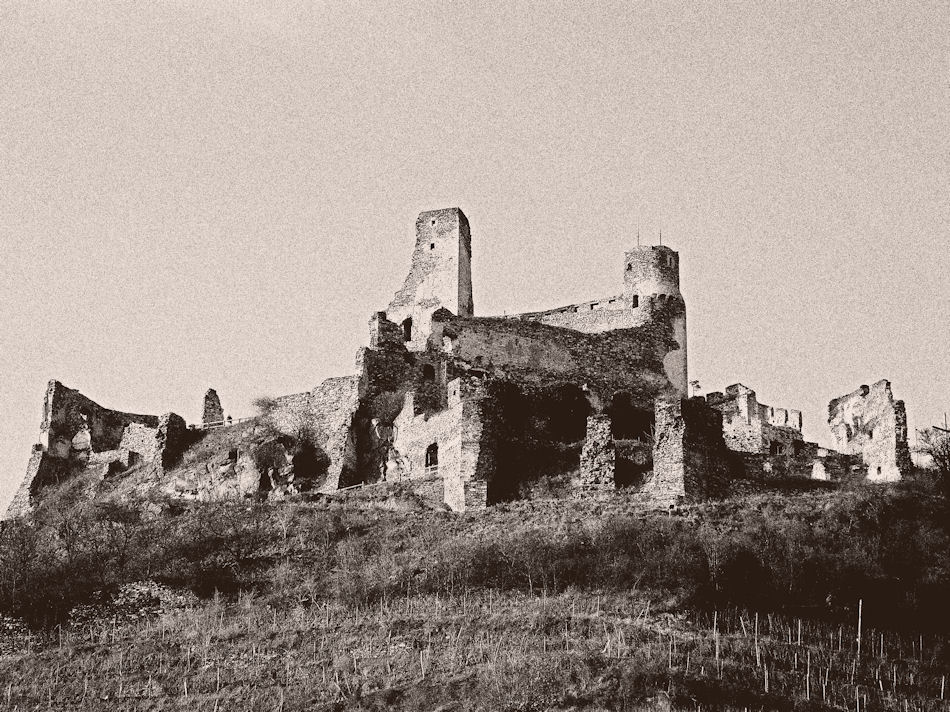 Burgruine Senftenberg 2008, Foto: (C) Herbert Swaton