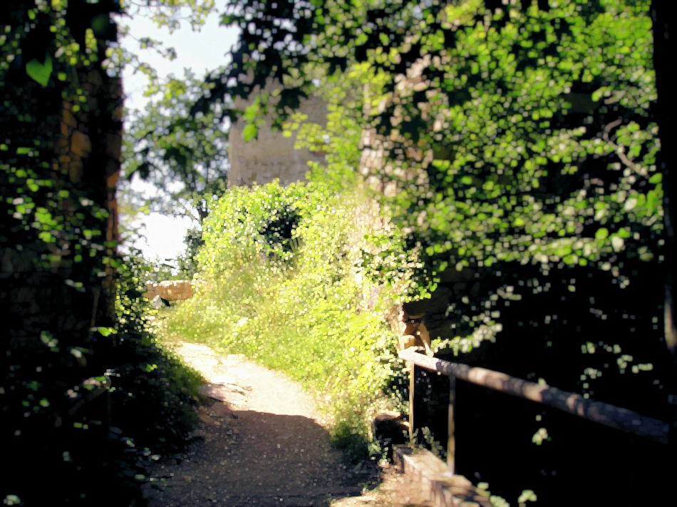 Burgruine Prandegg, 2007, Foto: (C) Herbert Swaton