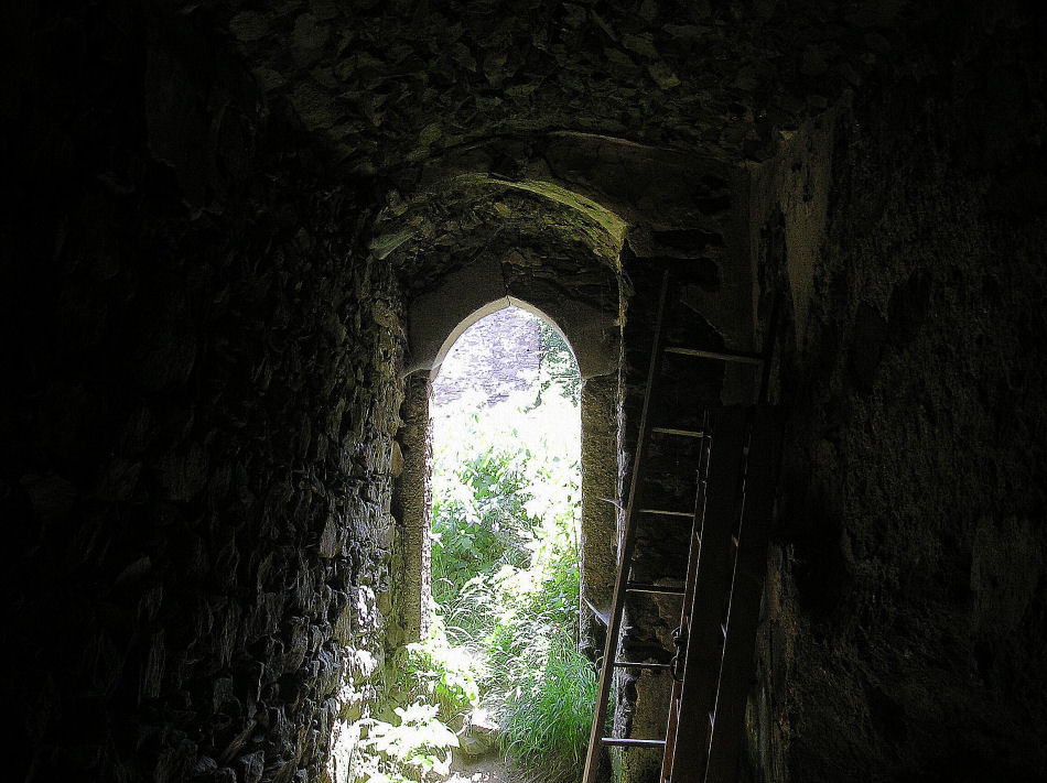 Burgruine Schaunberg, 2007, Foto: (C) Herbert Swaton