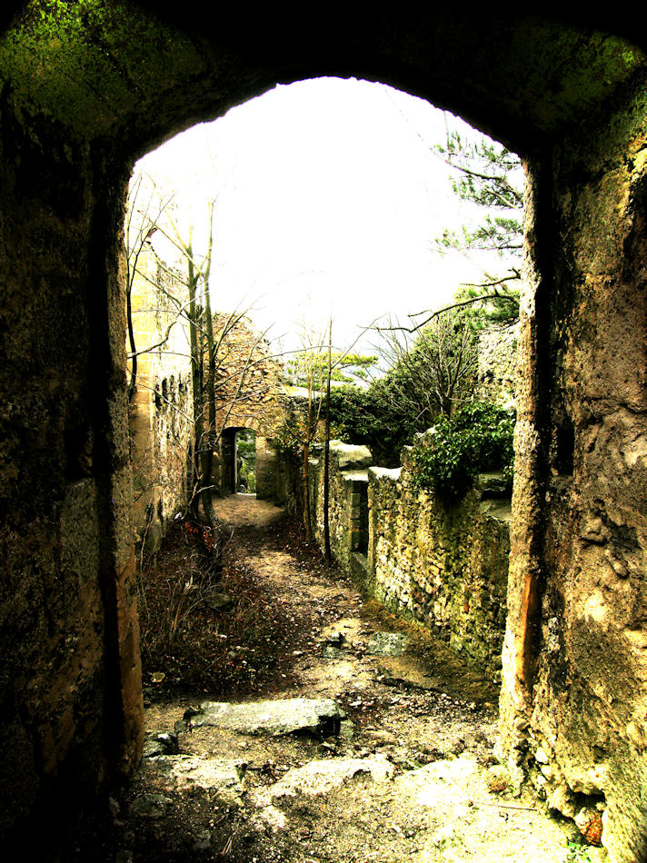 Burgruine Rauheneck , 2008, Foto: (C) Herbert Swaton