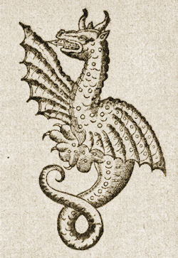 Ein gar schreckliches Untier - Drachenabbildung aus Conrad Gessners Schlangenbuch, im Nachlass erschienen 1587