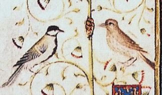 Singvgel als Randillustrationen, Ausschnitt einer Miniatur des 'Brsseler Stundenbuchs', um 1400