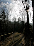 Entlang eines tiefeingeschnittenen Bachverlaufs führt der Weg durch den Wald zur Burgruine ...