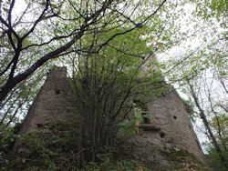 ... den Weg zum isoliert gelegenen Bergfried mit vorgelagertem Zwinger, der Schutz gegen den Bergrücken bietet.