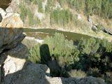 Und so mag die Ansicht sein, die sich dem Greifvogel bietet - den Burgfelsen hinab zur Thaya ...