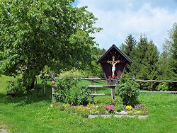 ... wird der Wanderer brigens noch durch einige wunderbare Ausblicke ins steirische Landschaftsidyll verwhnt.