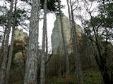 ... und tatsächlich zeigt sich die Burg schon nach relativ kurzer Zeit zwischen Bäumen und Felsen.