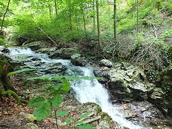 ... mit jeder Menge Wasser allenortens - hier der, nach den vergangenen Regenfllen wildschumende Tieenbach!