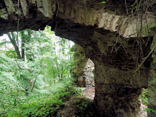 Vom Wald in Besitz genommen: Die Ruinen von Neu-Wildon ... 