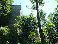 ... ehe zuerst der mchtige Bergfried hinter dichtem Sommerlaub sichtbar wird.