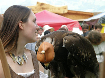 Alte Bekannte aus Ottenstein - Die Greifvgel aus Molln.