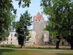 Zwischen weiteren mächtigen altem Baumwerk tut sich dann Blick auf auf das Schloss mit seinen beiden mächtigen Südtürmen ...