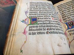 Selten kommt man Originalen so knapp auf Tuchfühlung um etwa Details in Schrift- und Initialiengestaltung - hier in einer um 1446 entstandenen Grammatik - 