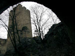 Burg Rauhenstein, am Eingang des Helenentals gelegen ...