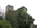 Blick auf die Burg Werfenstein