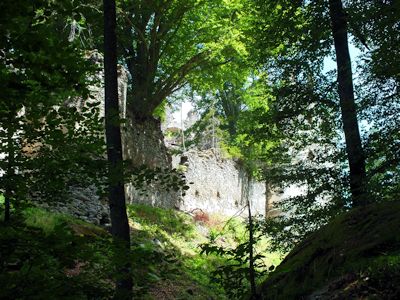 Auch Kärntens Wälder bieten manche ruinöse Überraschung - Burgruine Aichelberg bei Villach -, ...