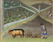 Mittelalterlicher Ackerbau, Stundenbuch des Herzogs von Berry, Anfang 15. Jahrhundert