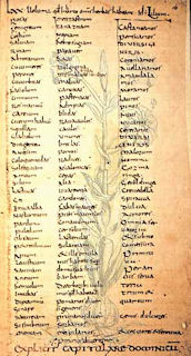 Abbildung einer Seite des Capitulare de villis, um 800
